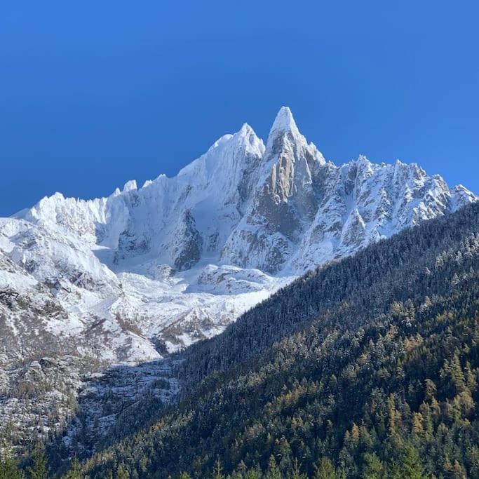 Апартаменты Belle Vue Des Praz Шамони Экстерьер фото